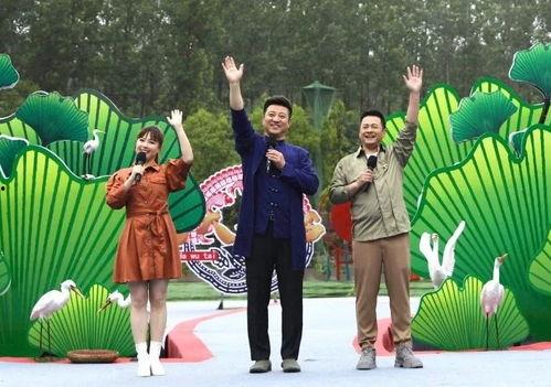 兜子娱乐最新爆料视频,最新爆料视频背后的惊人真相